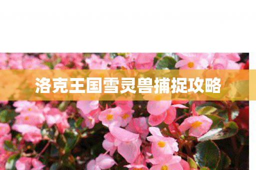 洛克王国雪灵兽捕捉攻略