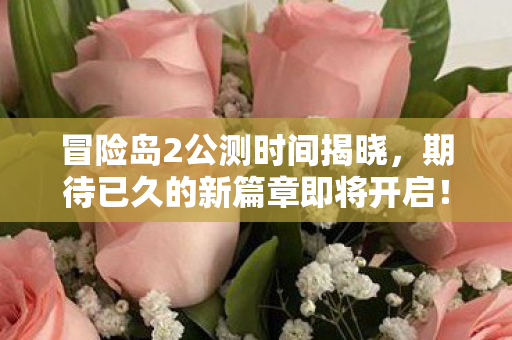 冒险岛2公测时间揭晓,期待已久的新篇章即将开启! 冒险岛2公测时间揭晓,期待已久的新篇章即将开启!