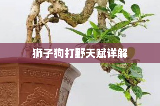 狮子狗打野天赋详解