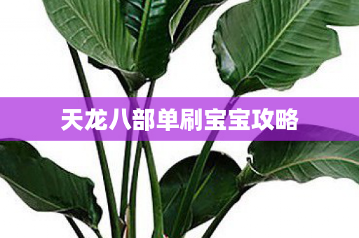 天龙八部单刷宝宝攻略