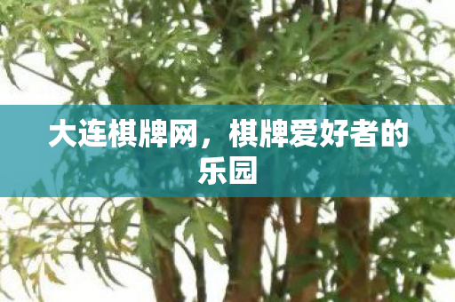 大连棋牌网,棋牌爱好者的乐园 大连棋牌网,棋牌爱好者的乐园