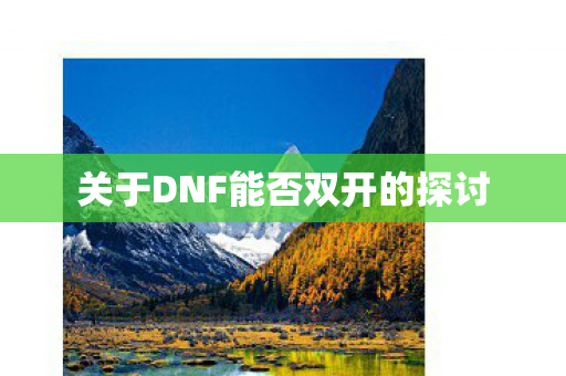 关于DNF能否双开的探讨