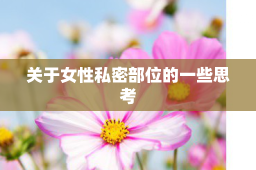 关于女性私密部位的一些思考