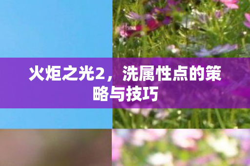 火炬之光2,洗属性点的策略与技巧 火炬之光2,洗属性点的策略与技巧