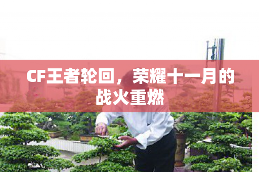 CF王者轮回,荣耀十一月的战火重燃 CF王者轮回,荣耀十一月的战火重燃