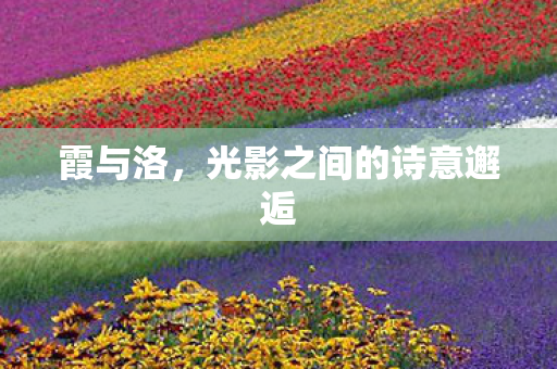 霞与洛，光影之间的诗意邂逅
