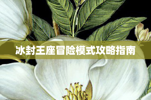冰封王座冒险模式攻略指南 冰封王座冒险模式攻略指南