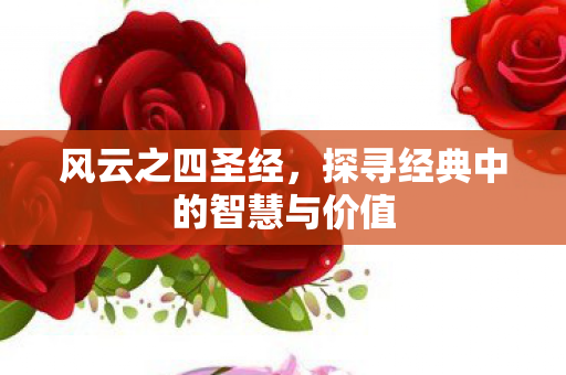 风云之四圣经,探寻经典中的智慧与价值 风云之四圣经,探寻经典中的智慧与价值