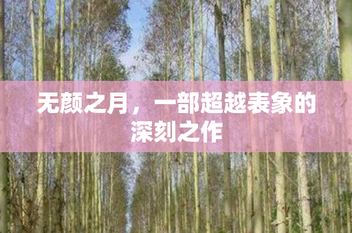 无颜之月,一部超越表象的深刻之作 无颜之月,一部超越表象的深刻之作