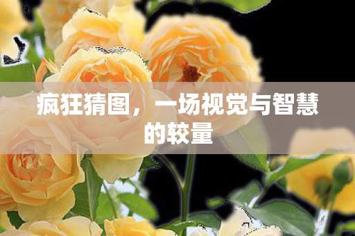 疯狂猜图,一场视觉与智慧的较量 疯狂猜图,一场视觉与智慧的较量