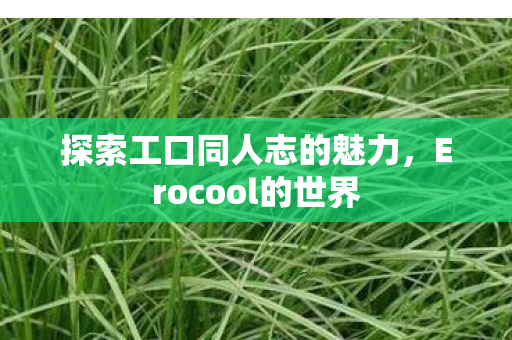 探索工口同人志的魅力,Erocool的世界 探索工口同人志的魅力,Erocool的世界