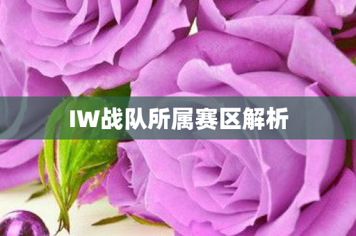 IW战队所属赛区解析 IW战队所属赛区解析