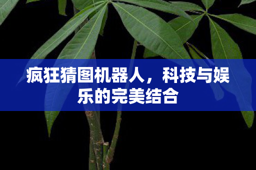 疯狂猜图机器人,科技与娱乐的完美结合 疯狂猜图机器人,科技与娱乐的完美结合