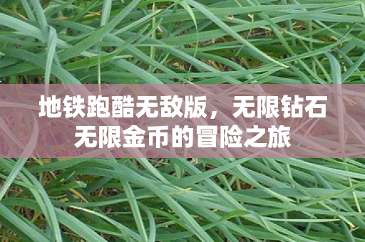 地铁跑酷无敌版，无限钻石无限金币的冒险之旅