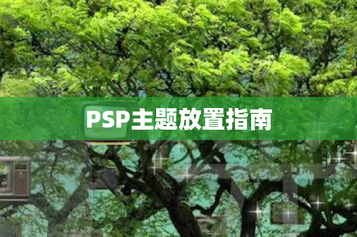 PSP主题放置指南 PSP主题放置指南