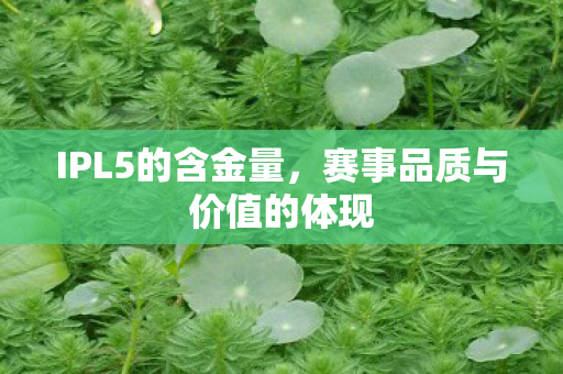 IPL5的含金量,赛事品质与价值的体现 IPL5的含金量,赛事品质与价值的体现