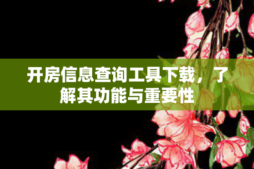 开房信息查询工具下载，了解其功能与重要性