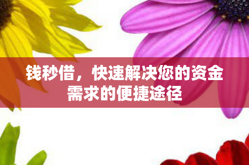 钱秒借,快速解决您的资金需求的便捷途径 钱秒借,快速解决您的资金需求的便捷途径