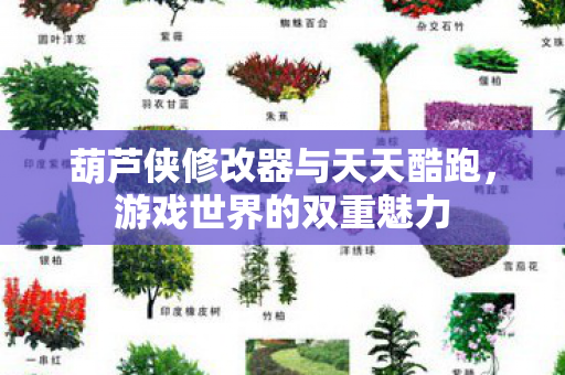 葫芦侠修改器与天天酷跑,游戏世界的双重魅力 葫芦侠修改器与天天酷跑,游戏世界的双重魅力