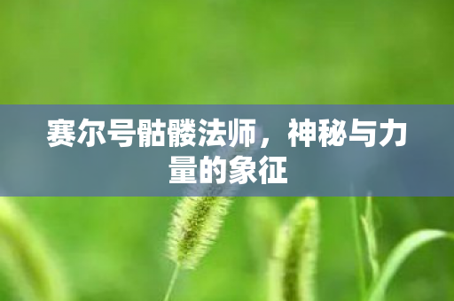赛尔号骷髅法师,神秘与力量的象征 赛尔号骷髅法师,神秘与力量的象征