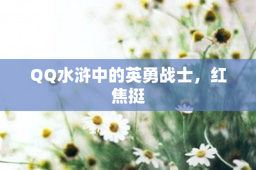 QQ水浒中的英勇战士,红焦挺 QQ水浒中的英勇战士,红焦挺