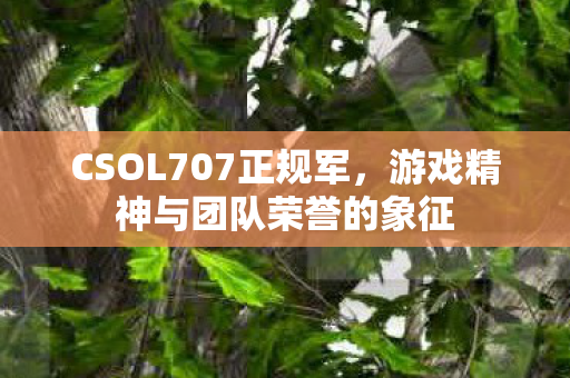 CSOL707正规军,游戏精神与团队荣誉的象征 CSOL707正规军,游戏精神与团队荣誉的象征