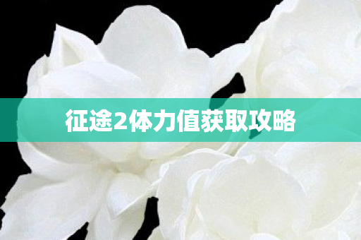 征途2体力值获取攻略 征途2体力值获取攻略