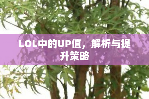 LOL中的UP值,解析与提升策略 LOL中的UP值,解析与提升策略