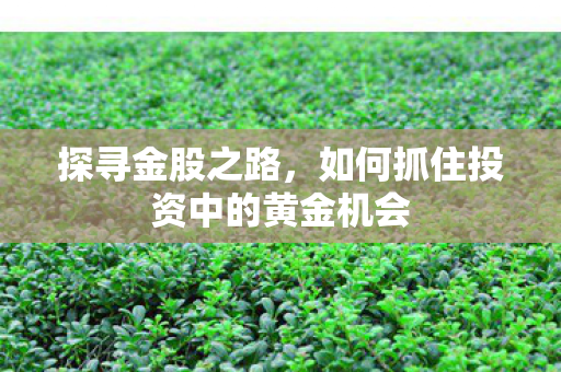 探寻金股之路,如何抓住投资中的黄金机会 探寻金股之路,如何抓住投资中的黄金机会
