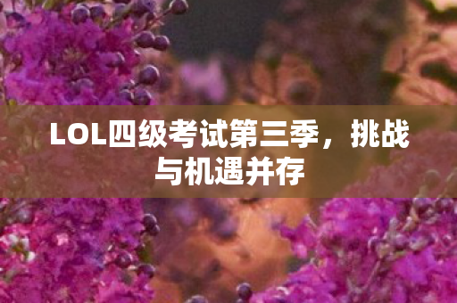 LOL四级考试第三季,挑战与机遇并存 LOL四级考试第三季,挑战与机遇并存