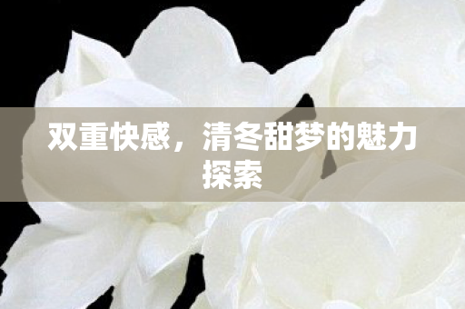 双重快感,清冬甜梦的魅力探索 双重快感,清冬甜梦的魅力探索