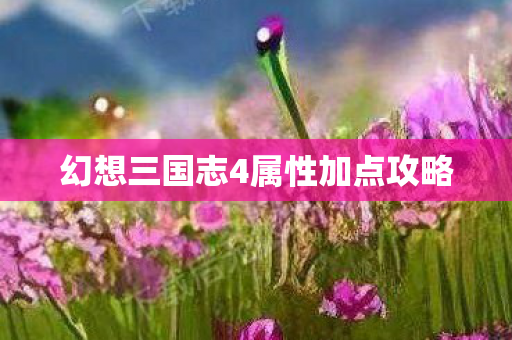 幻想三国志4属性加点攻略 幻想三国志4属性加点攻略