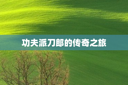 功夫派刀郎的传奇之旅 功夫派刀郎的传奇之旅