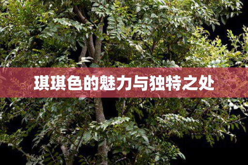 琪琪色的魅力与独特之处