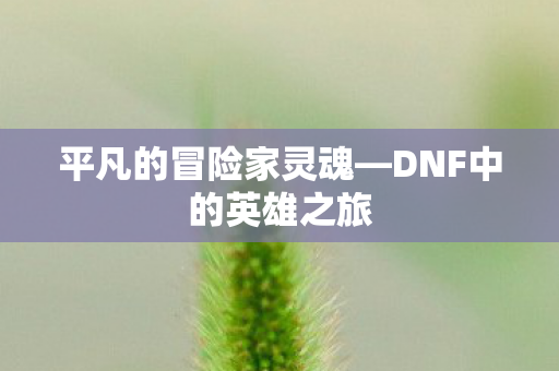 平凡的冒险家灵魂—DNF中的英雄之旅 平凡的冒险家灵魂—DNF中的英雄之旅