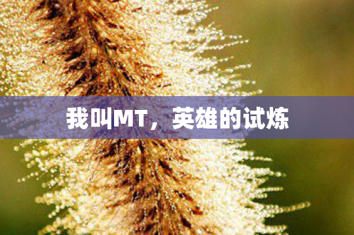 我叫MT,英雄的试炼 我叫MT,英雄的试炼