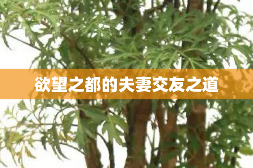 欲望之都的夫妻交友之道