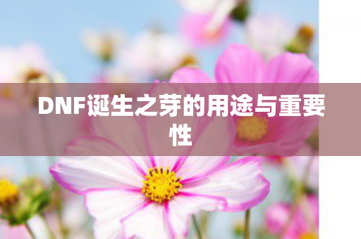 DNF诞生之芽的用途与重要性 DNF诞生之芽的用途与重要性