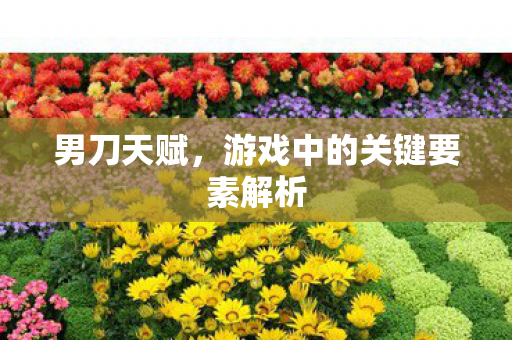 男刀天赋,游戏中的关键要素解析 男刀天赋,游戏中的关键要素解析