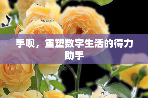 手呗,重塑数字生活的得力助手 手呗,重塑数字生活的得力助手