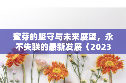 蜜芽的坚守与未来展望,永不失联的最新发展(2023年) 蜜芽的坚守与未来展望,永不失联的最新发展(2023年)