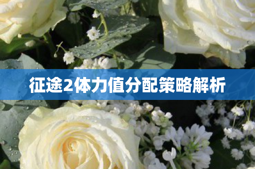 征途2体力值分配策略解析