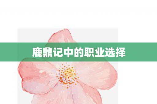 鹿鼎记中的职业选择 鹿鼎记中的职业选择