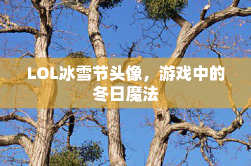 LOL冰雪节头像,游戏中的冬日魔法 LOL冰雪节头像,游戏中的冬日魔法
