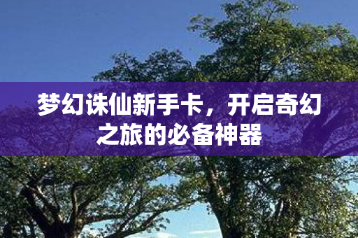 梦幻诛仙新手卡,开启奇幻之旅的必备神器 梦幻诛仙新手卡,开启奇幻之旅的必备神器