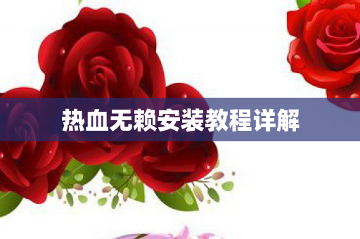 热血无赖安装教程详解 热血无赖安装教程详解