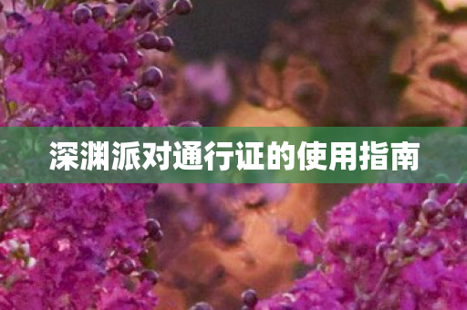 深渊派对通行证的使用指南 深渊派对通行证的使用指南