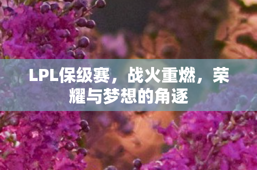 LPL保级赛,战火重燃,荣耀与梦想的角逐 LPL保级赛,战火重燃,荣耀与梦想的角逐