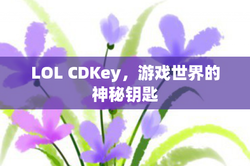 LOL CDKey,游戏世界的神秘钥匙 LOL CDKey,游戏世界的神秘钥匙