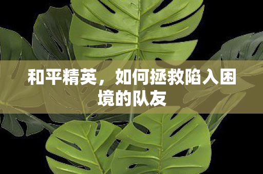 和平精英,如何拯救陷入困境的队友 和平精英,如何拯救陷入困境的队友